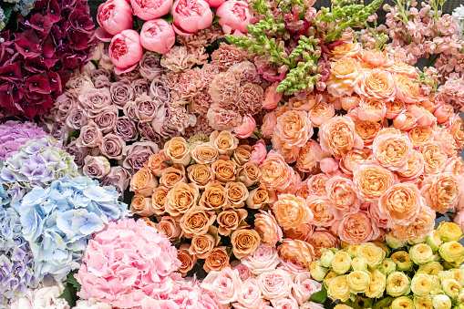 Stop Overpaying for Flowers: My 12-Month Diary Testing Bunches